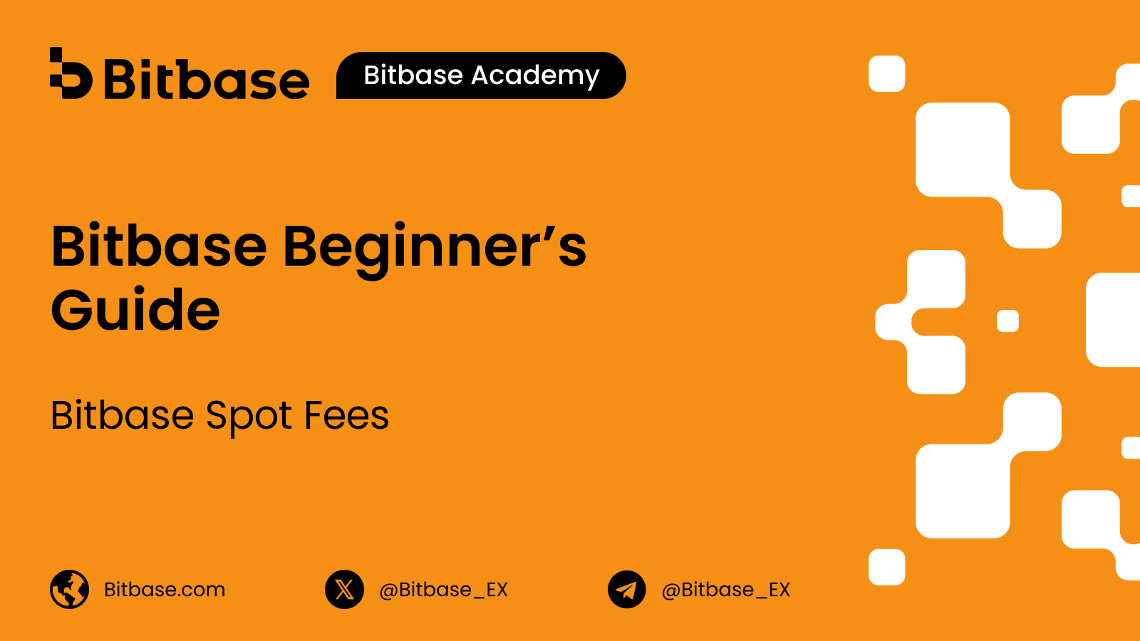 Bitbase Spot Trading Fees: The Full VIP 0 to VIP 7 Schedule