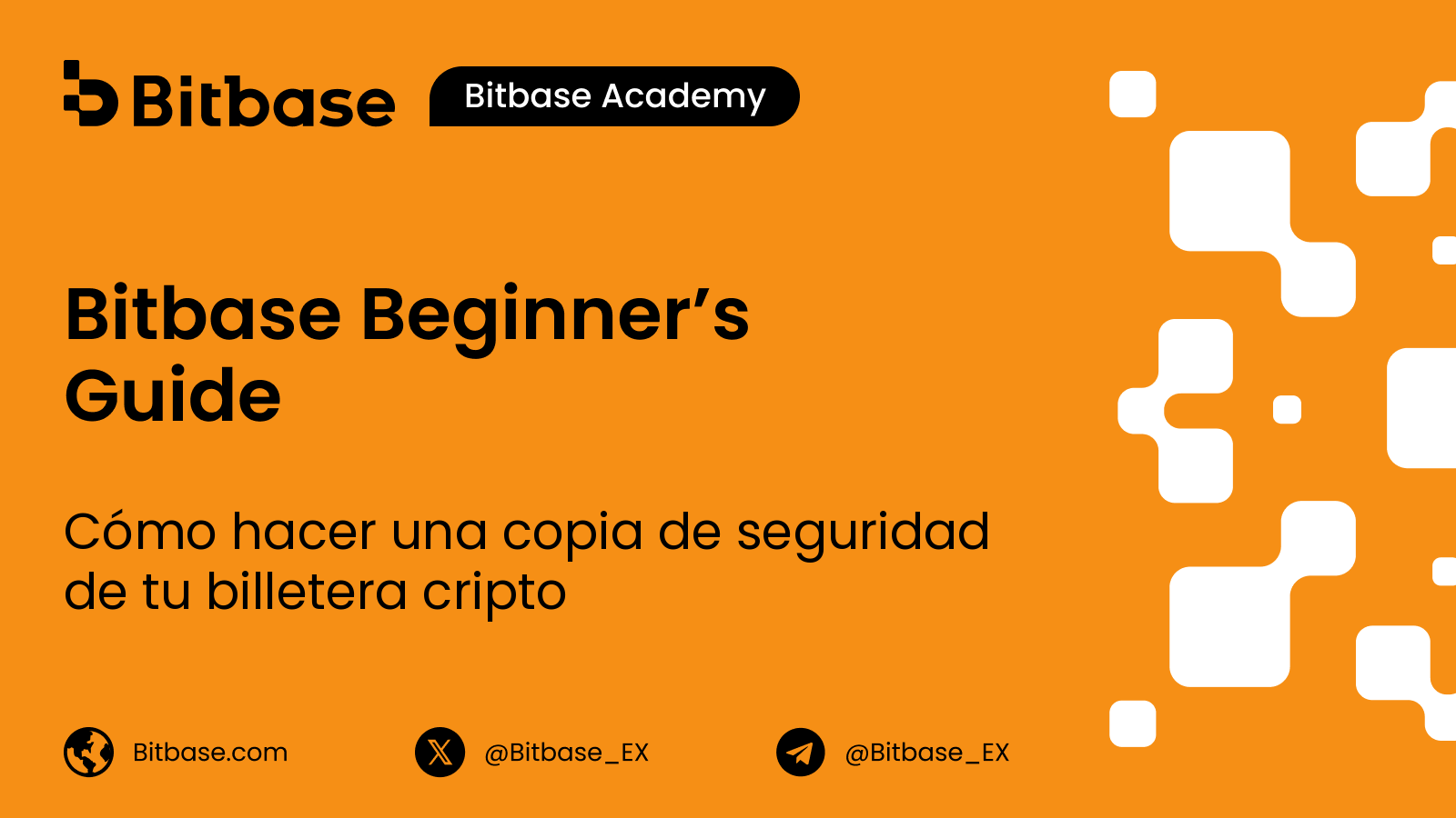 Cómo hacer una copia de seguridad de tu billetera cripto: guía práctica