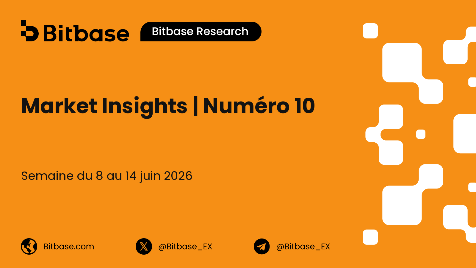 Market Insights | Numéro 10