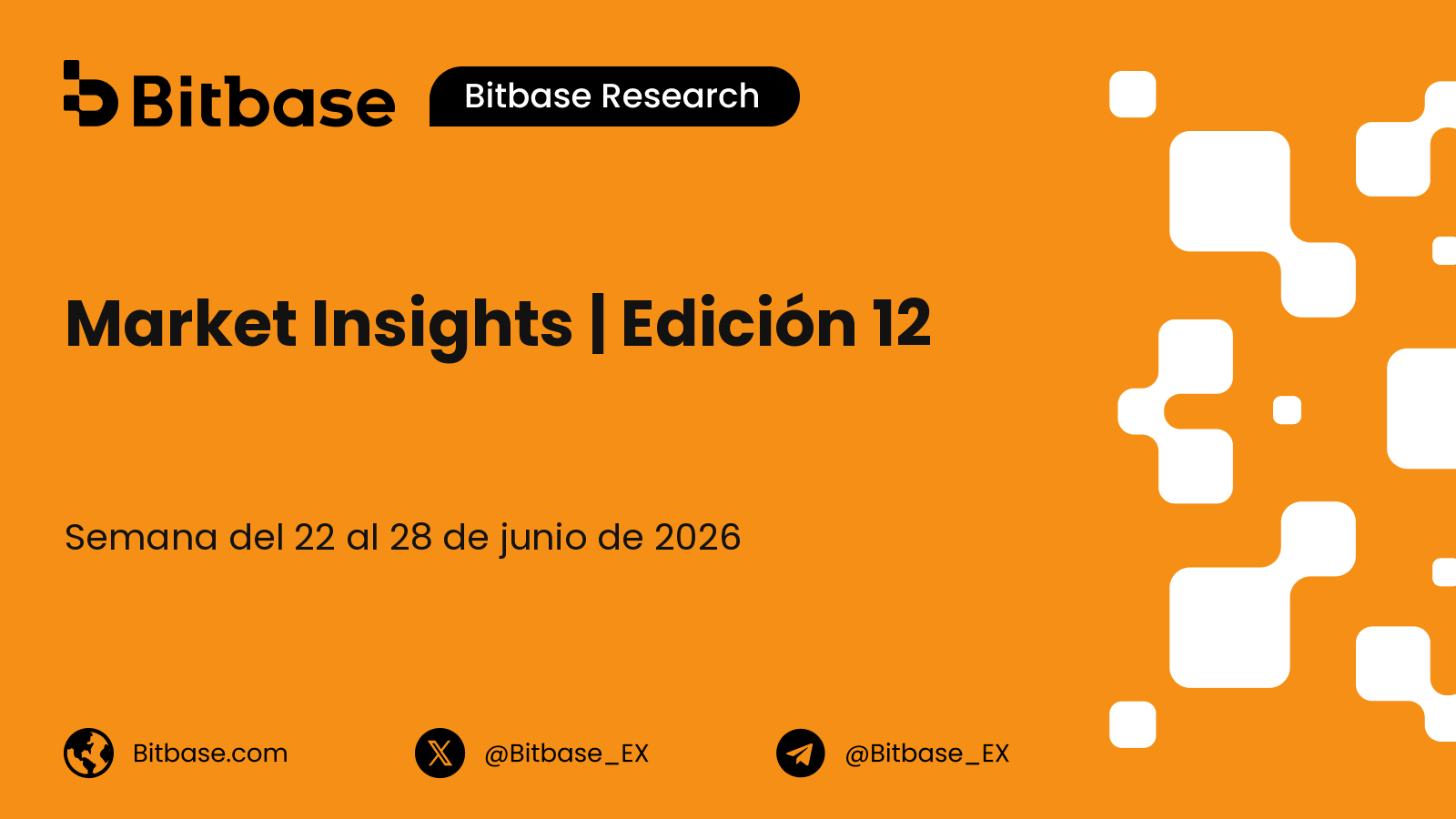 Market Insights | Edición 12