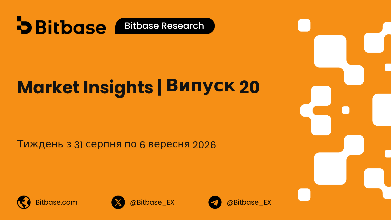 Market Insights | Випуск 20