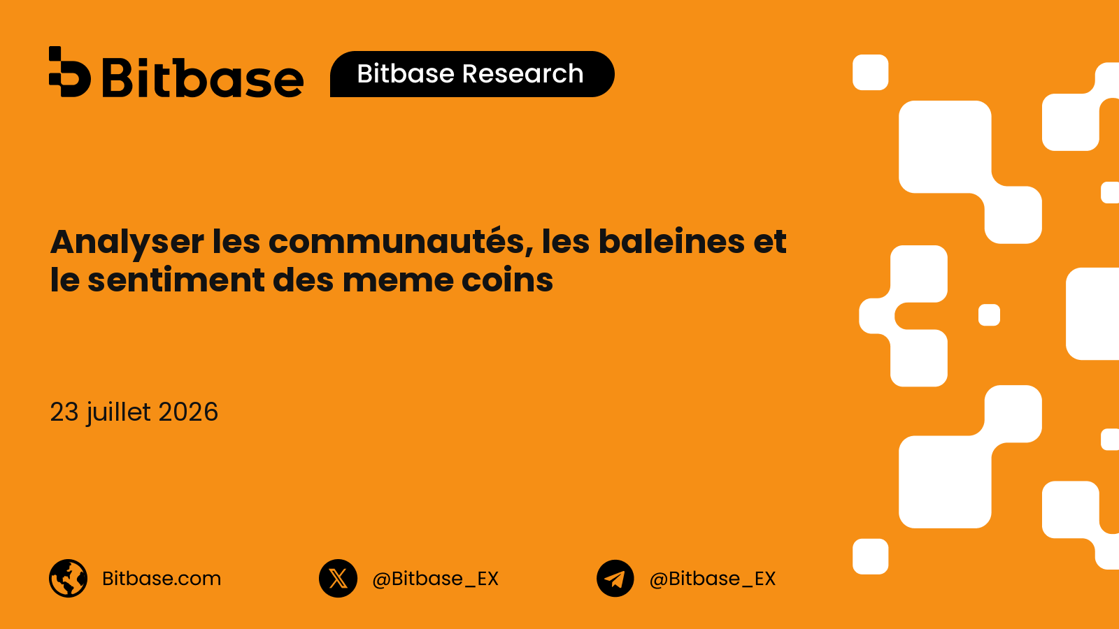 Analyser les communautés, les baleines et le sentiment des meme coins : un cadre de durabilité structurelle et de risque de rug