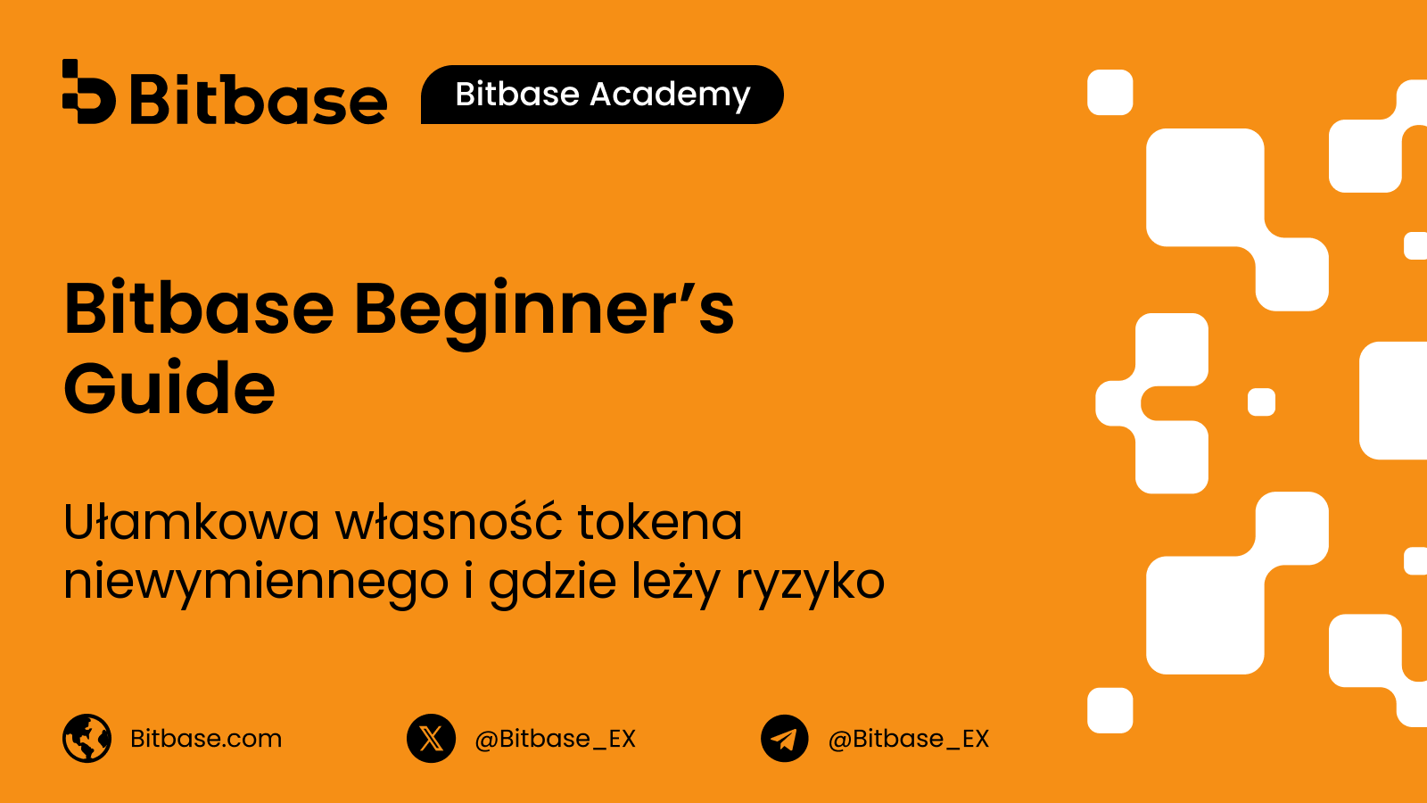 Ułamkowa własność tokena niewymiennego i gdzie leży ryzyko