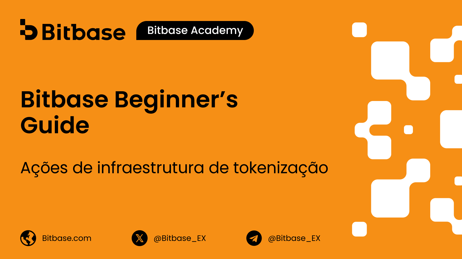 Ações de infraestrutura de tokenização: quem é listado e o que o relatório anual mostra