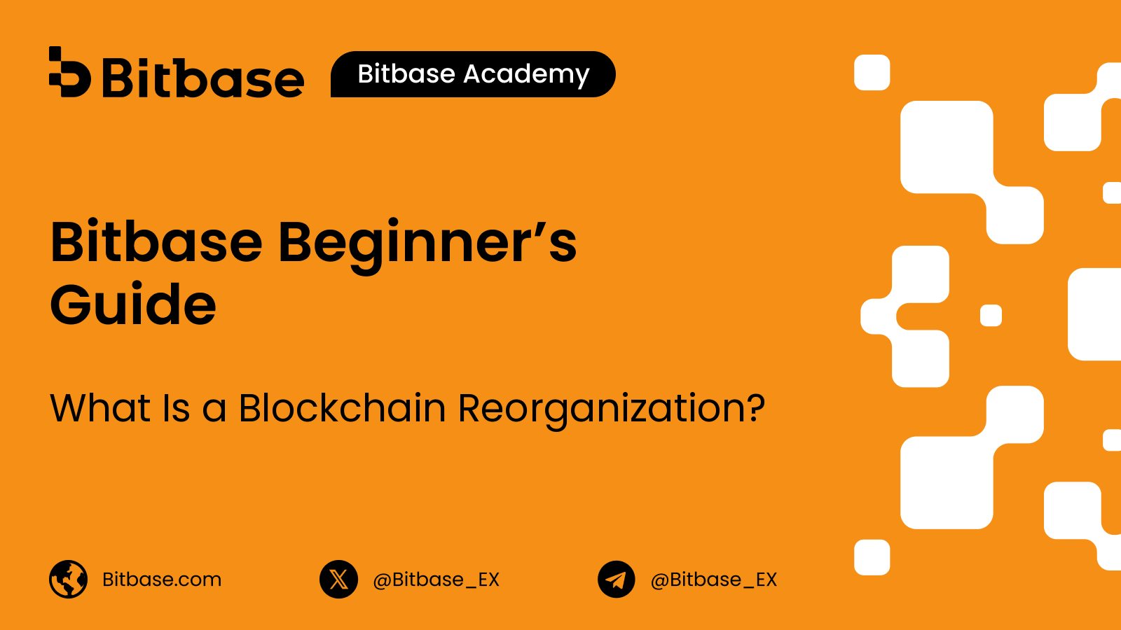 What Is a Blockchain Reorganization? Reorgs Explained