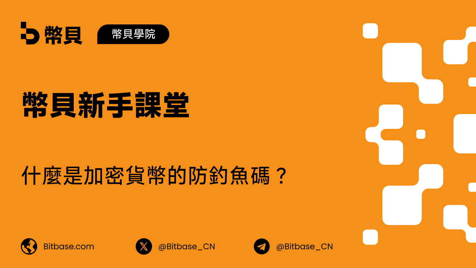 什麼是加密貨幣的防釣魚碼?它如何保護你