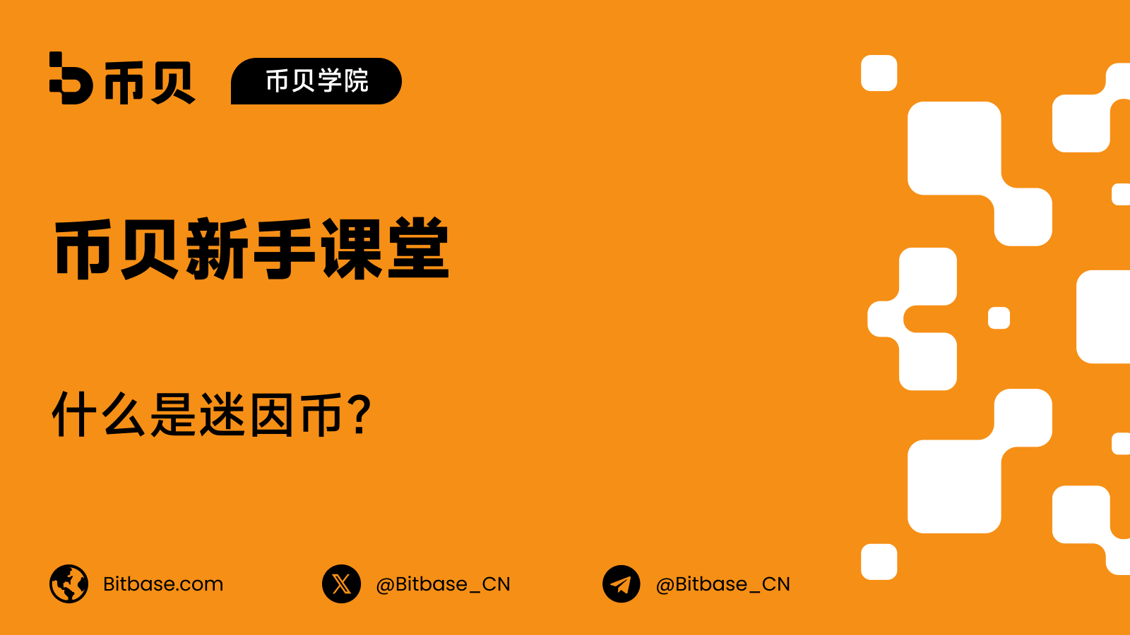 什么是迷因币(Meme Coin)?