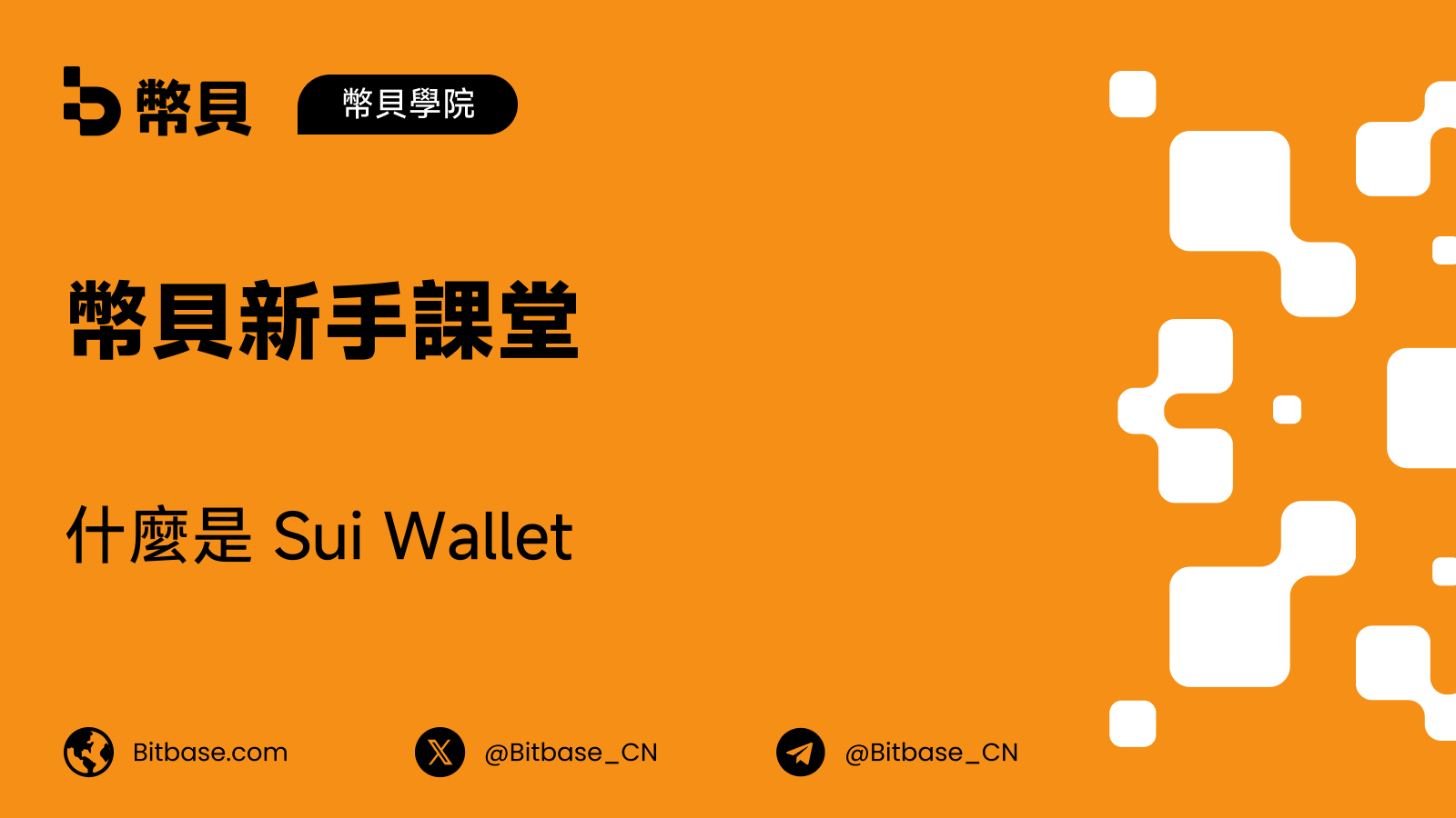 什麼是 Sui Wallet:Slush 的前身名稱