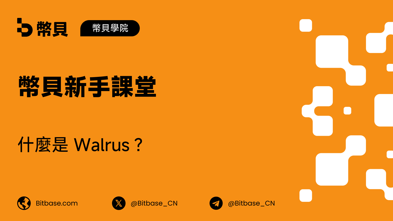 什麼是 Walrus?Sui 上的可編程 Blob 儲存